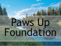 Paws Up Foundation