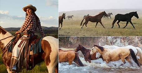 Photo of Rider and horses at the Resort at Paws Up in Montana