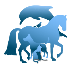 Image of Train with Trust logo